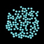 20SS -CARIBBEAN BLUE -CARIBBEAN BLUE RHINESTONE FLATBACK HOT FIX 1440 PCS. (10 GROSS)